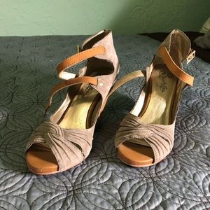 Classic Seychelles! Cuties! 😍